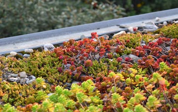 the cost of Avonbridge green roof installation