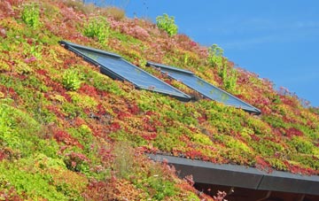 Avonbridge living roof systems