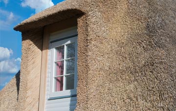 Avonbridge thatch roof disadvantages