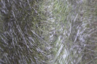 Avonbridge fibreglass roof work